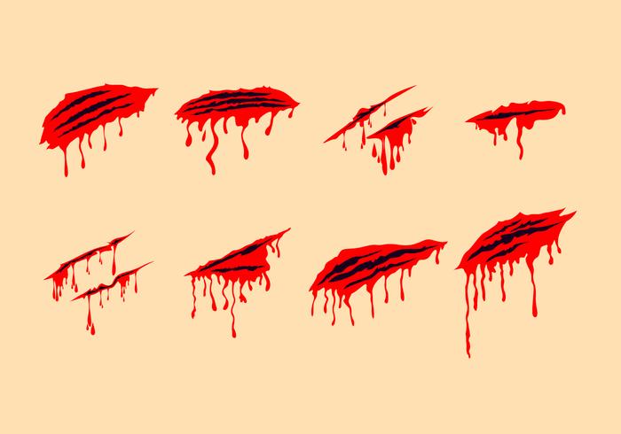 Dealing with slashes