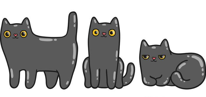 Cats says meow Cats says meow