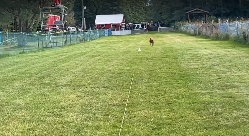 Better than Olympic speed. No, really...