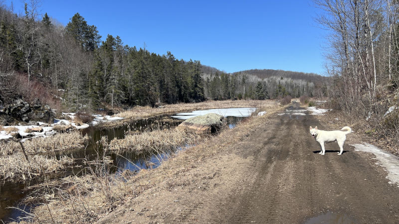 Bdot did a nice walk in before she left.