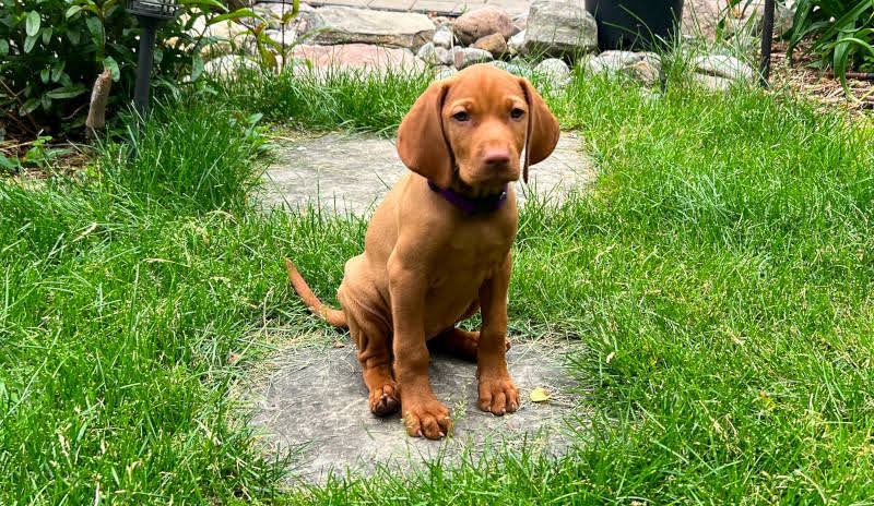 Was cute at one point :P