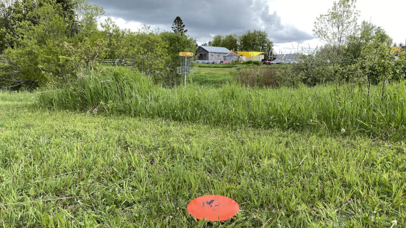 Glorious chip onto the green