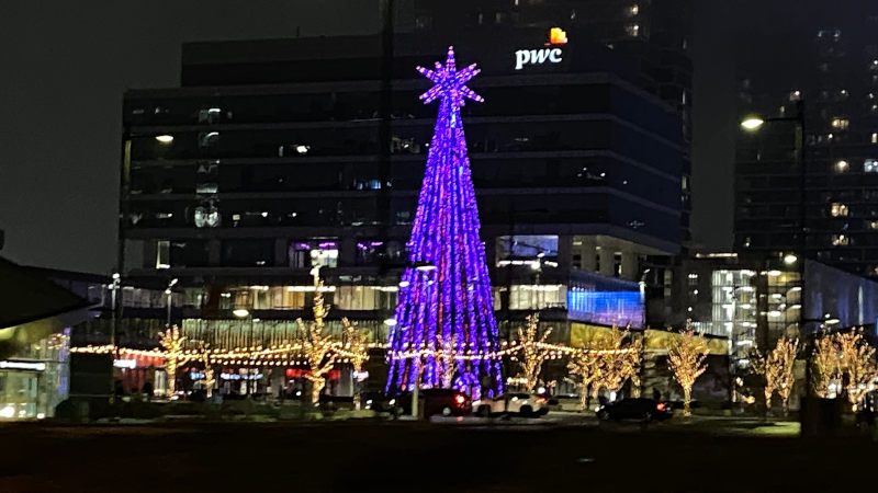 Festive Purple Star in Vaughan