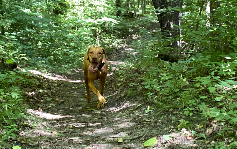 Up the hill. Down the hill.